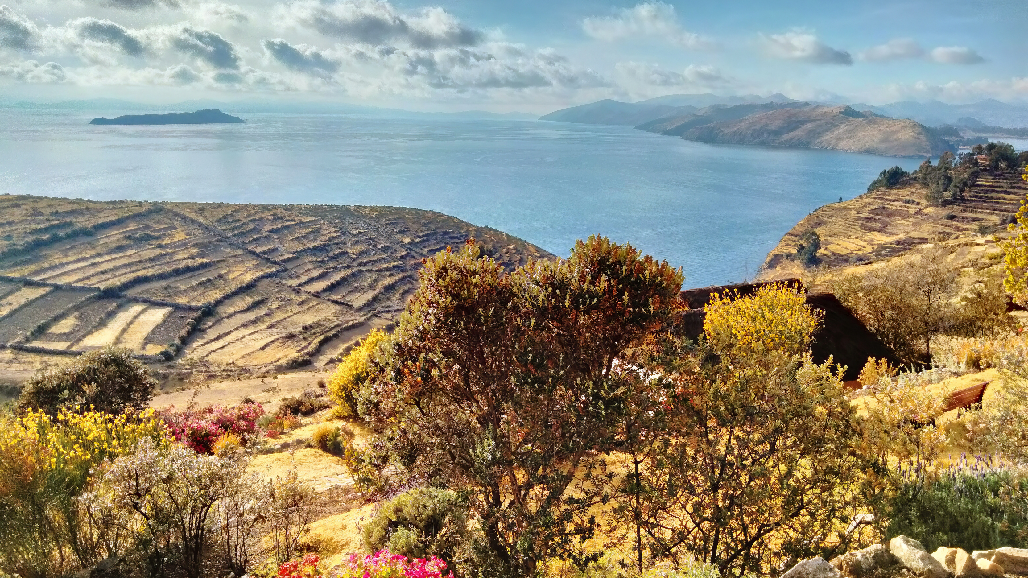 Check for Cinema Nomad airing on a public television station near you!